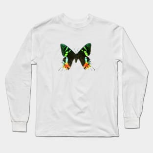 Sunset Moth Long Sleeve T-Shirt